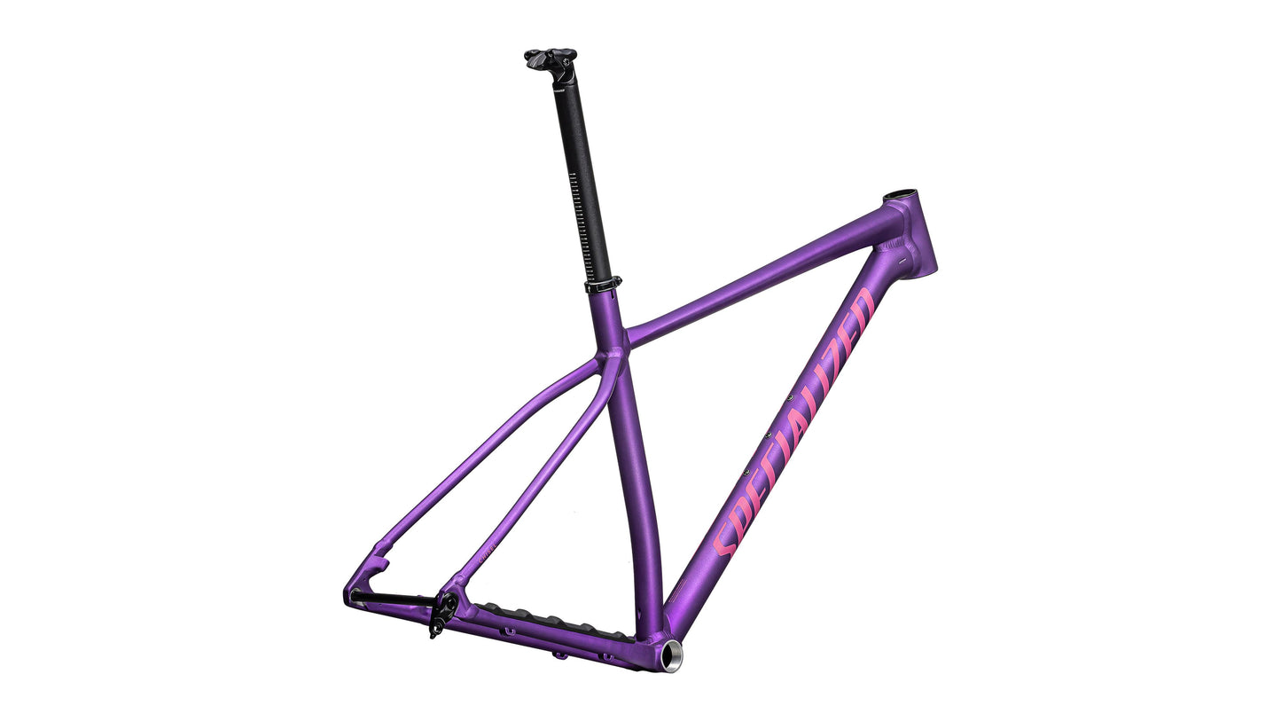 2025 Specialized Chisel Hardtail Frameset