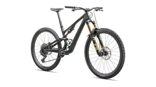 2025 Specialized Stumpjumper 15 Pro