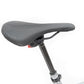 2023 Specialized Levo SL S-Works CarbBrsh/BlkLqdMet/BlkCp S6 (NEW OTHER)