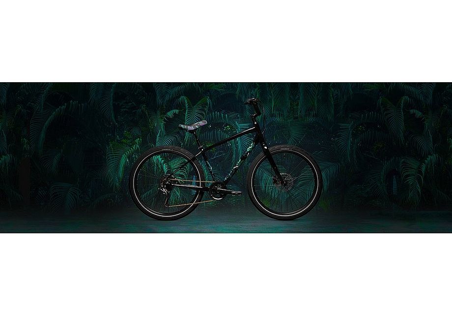 2020 Specialized Roll Elite Ltd Gloss Black / Chameleon Green