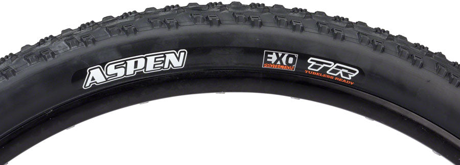Maxxis Aspen Tire