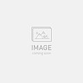 Roval My21 Traverse 27 5 Alloy 28H Xd Disc 6B Rear Wheel W Char Decal - Charcoal