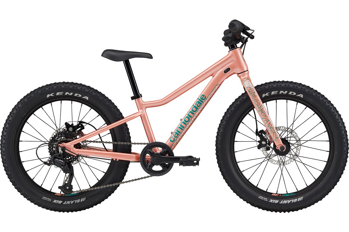 Cannondale Trail Plus 20