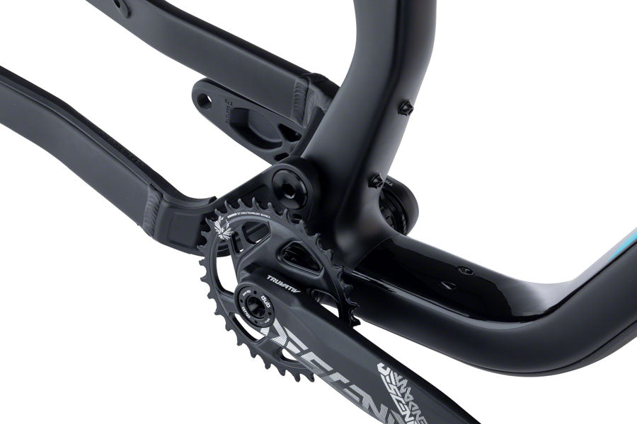 Salsa Spearfish Carbon Frame - Black