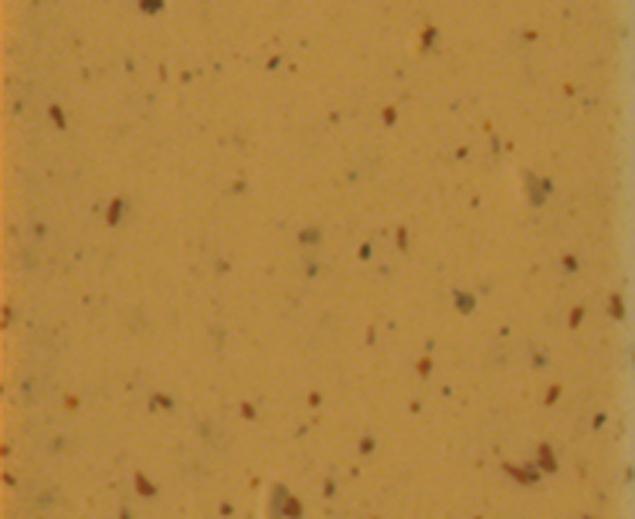 Bike Ribbon Cork Plus Bar Tape