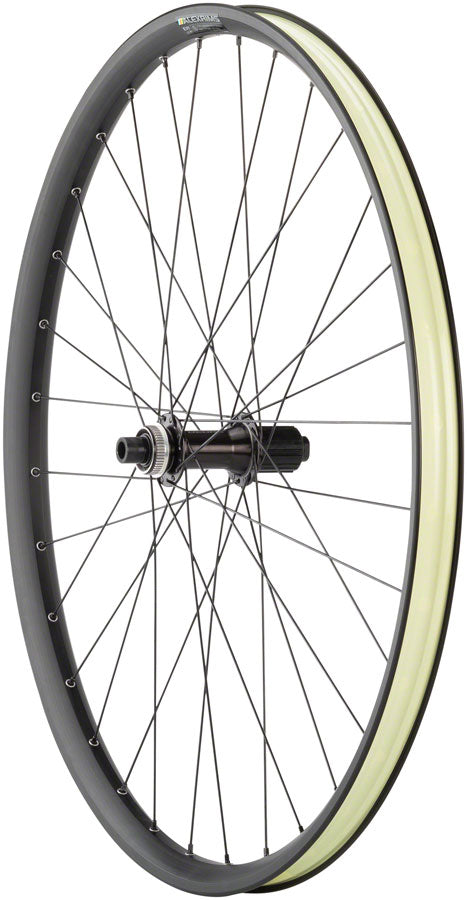 Quality Wheels Alex Em30 Disc Ebike Rear Wheel