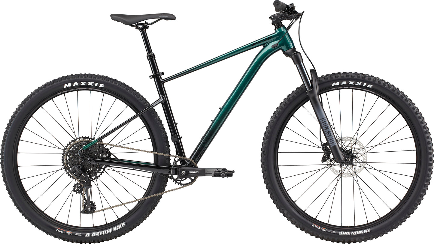 2021 Cannondale 29 M Trail SE 2