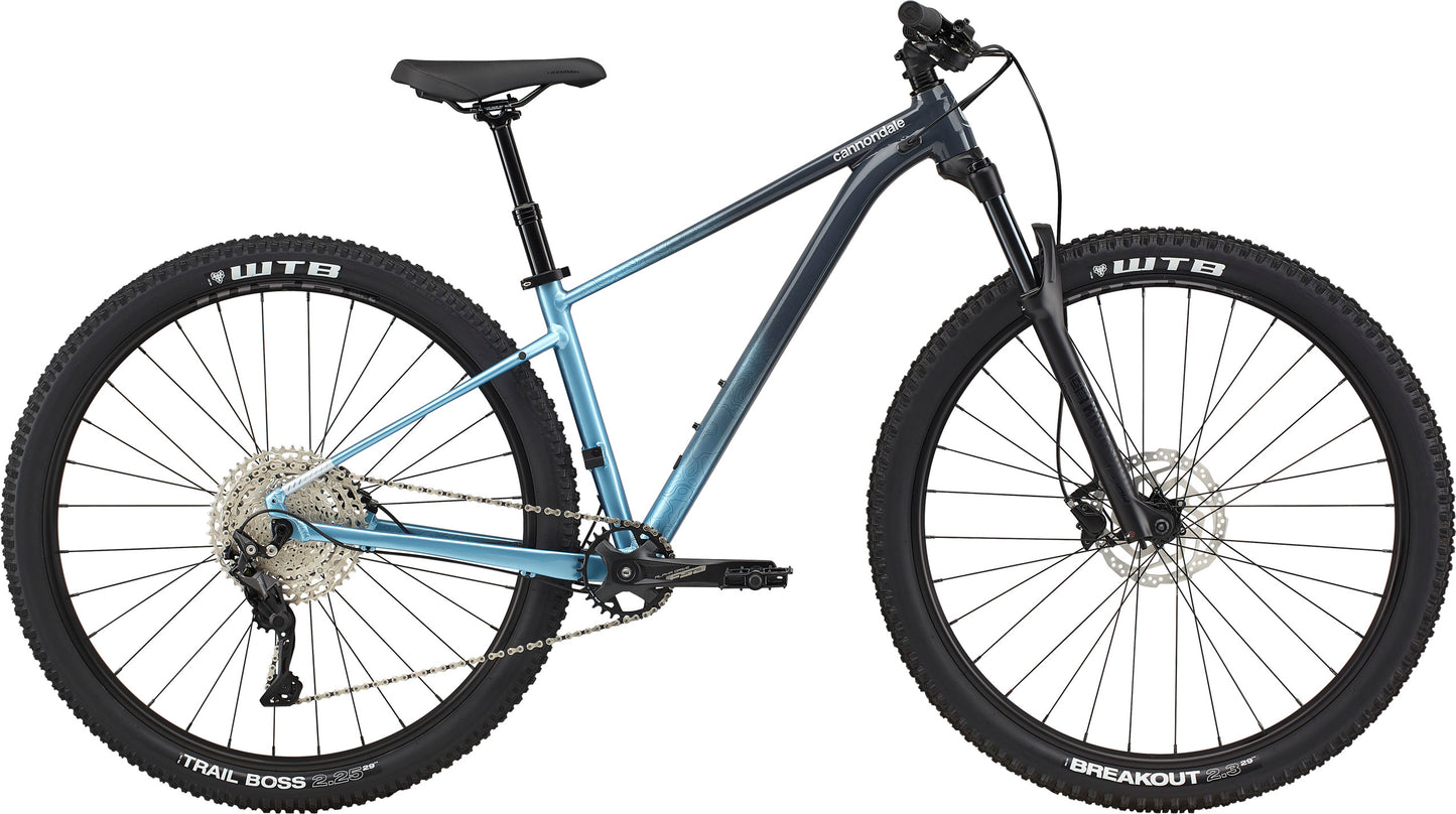 2021 Cannondale 29 F Trail SE 3