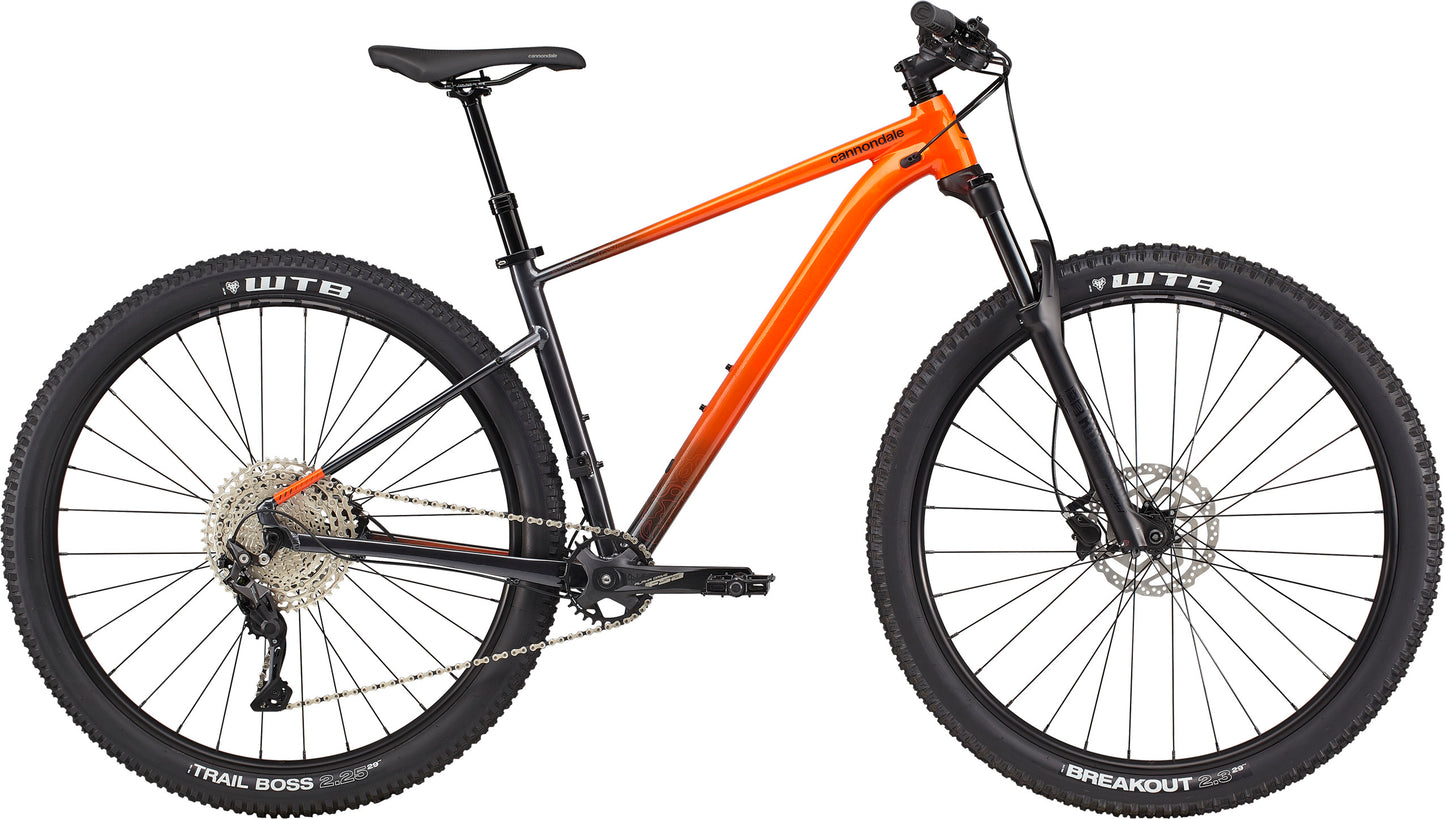 2021 Cannondale 29 M Trail SE 3