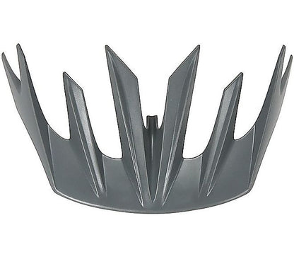 Specialized Sierra/flash Visor