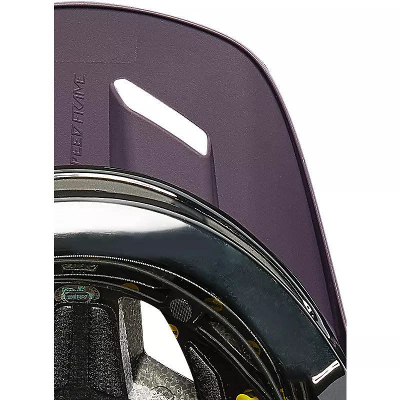 Fox Speedframe Pro Visor