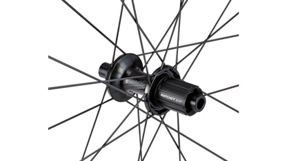 Specialized Rapide CLX II - Rear Satin Carbon/Gloss Blk 700C