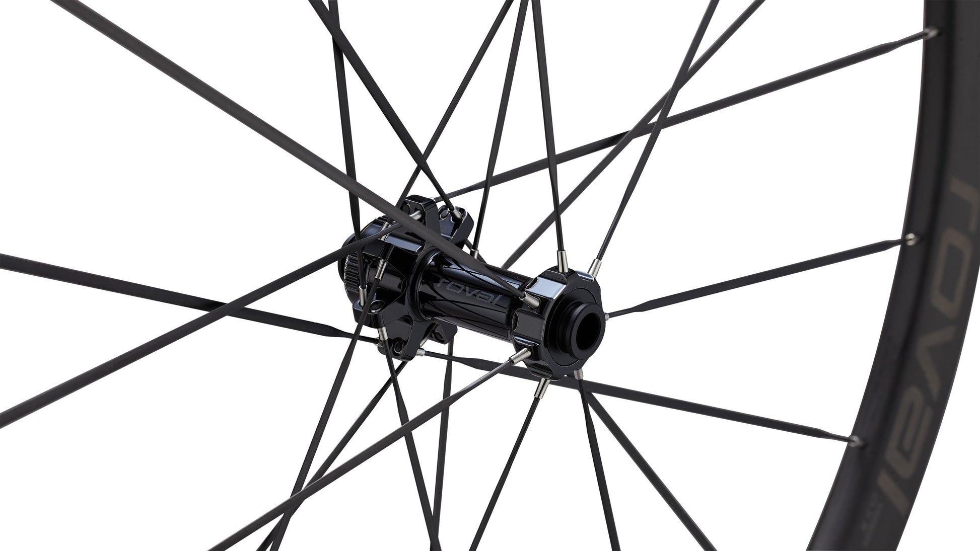 Terra Clx Iii 1000256343