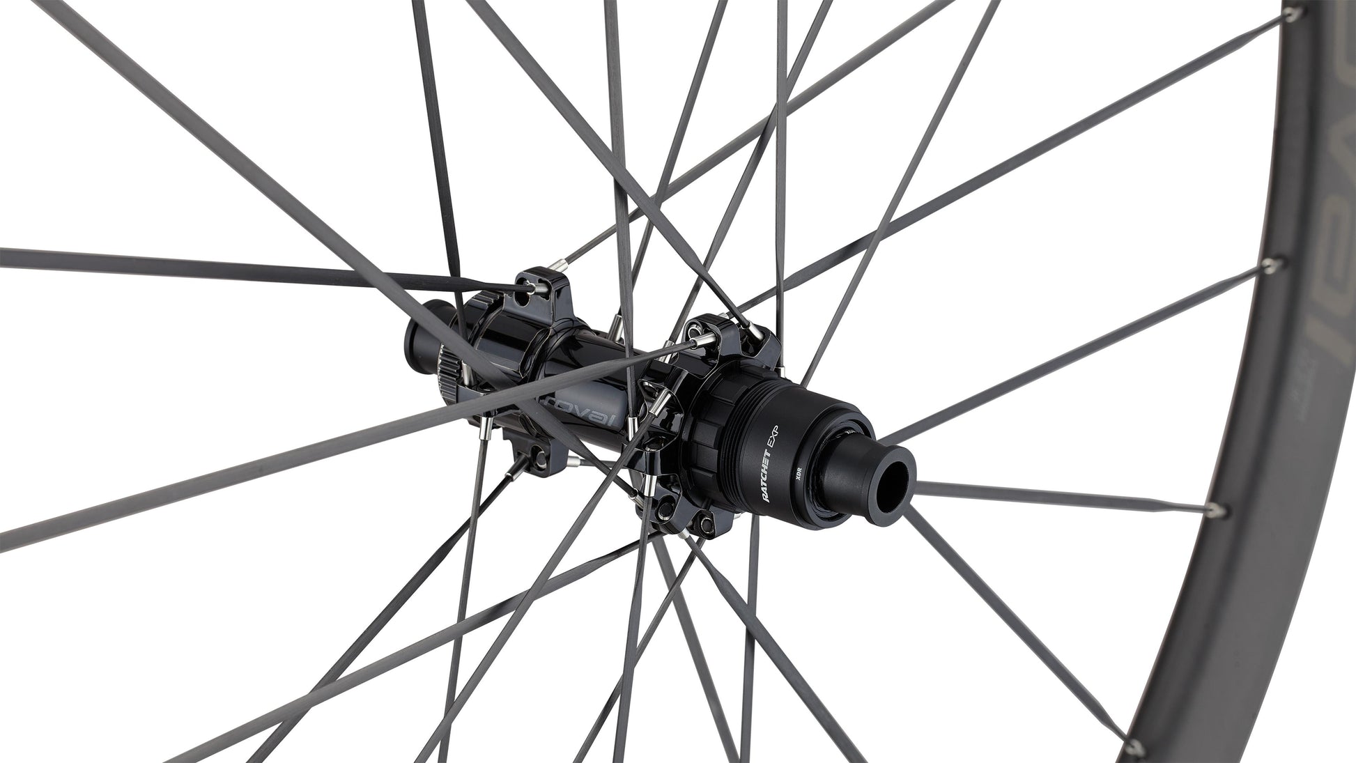 Terra Clx Iii 1000256343
