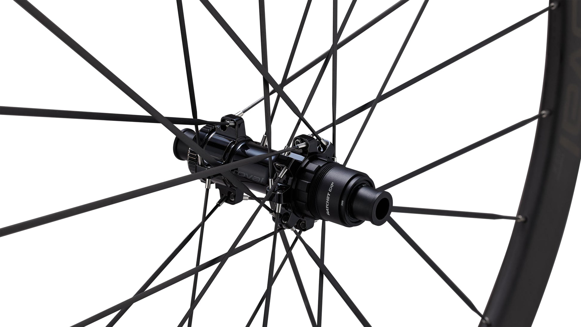 Terra Clx Iii 1000256343