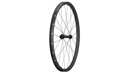 Specialized Control Sl 29 6B Front Front Wheel