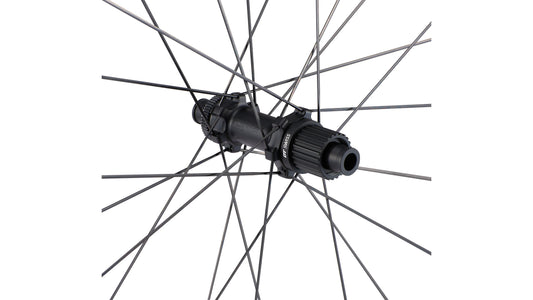 Specialized Control Sl 29 Cl Rear Ms Rear Wheel
