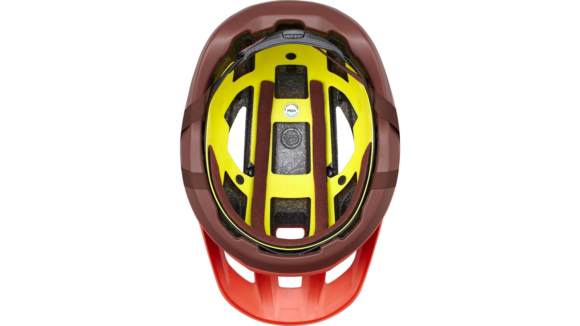 Redwood / Garnet Red