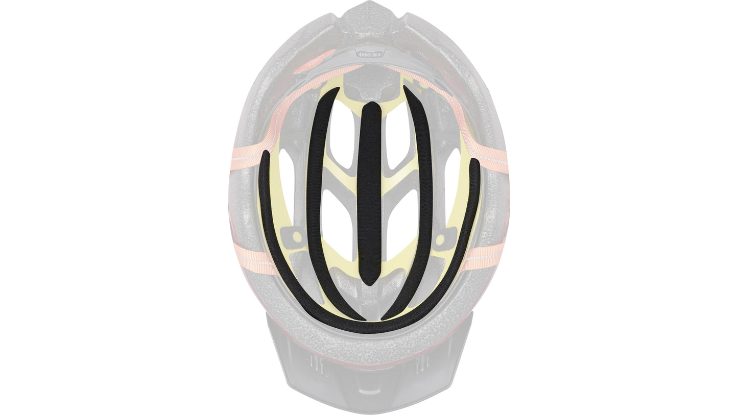 Specialized Chamonix 2
