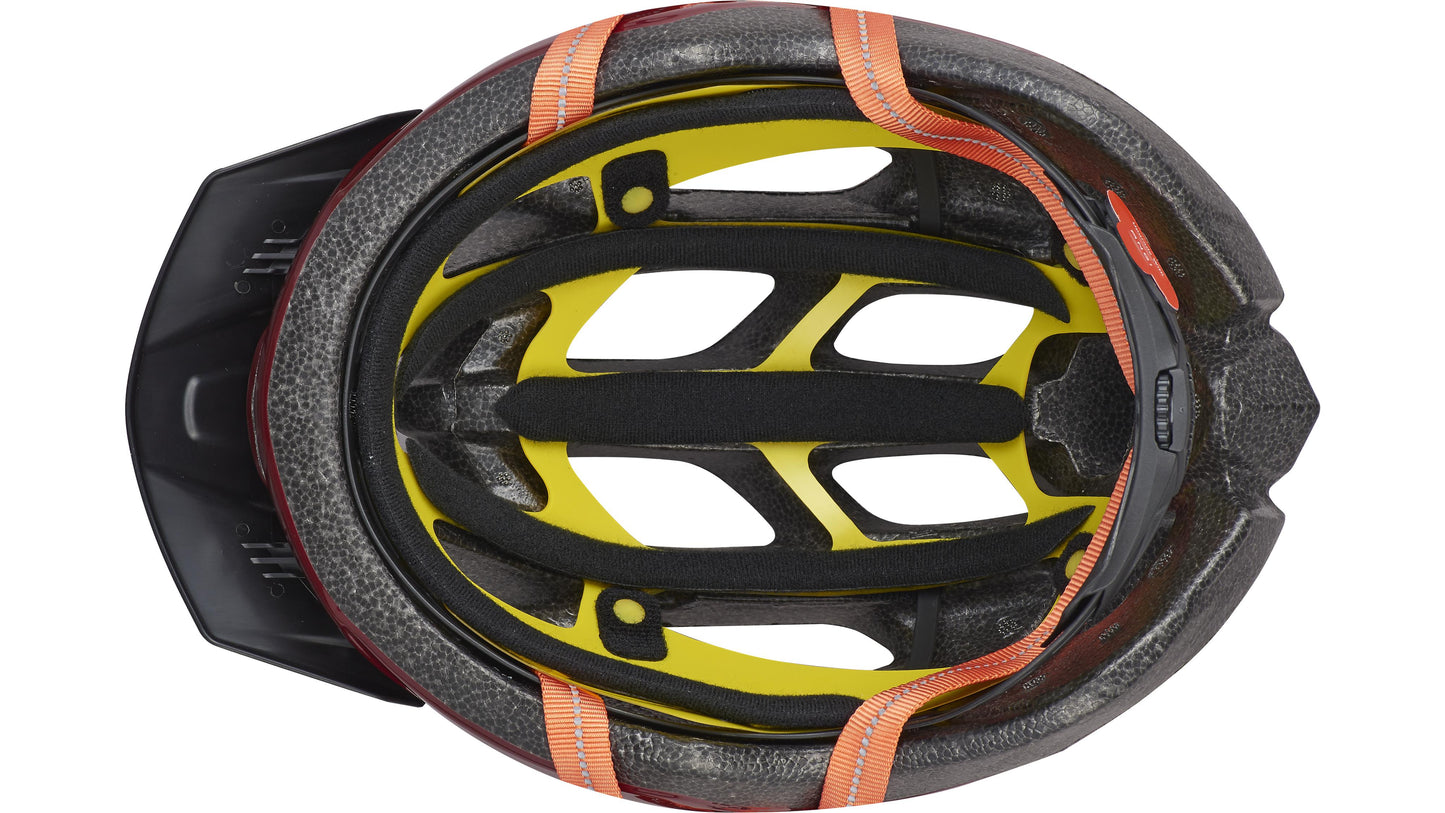 Specialized Chamonix 2