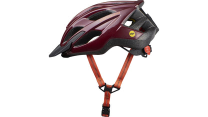 Specialized Chamonix 2