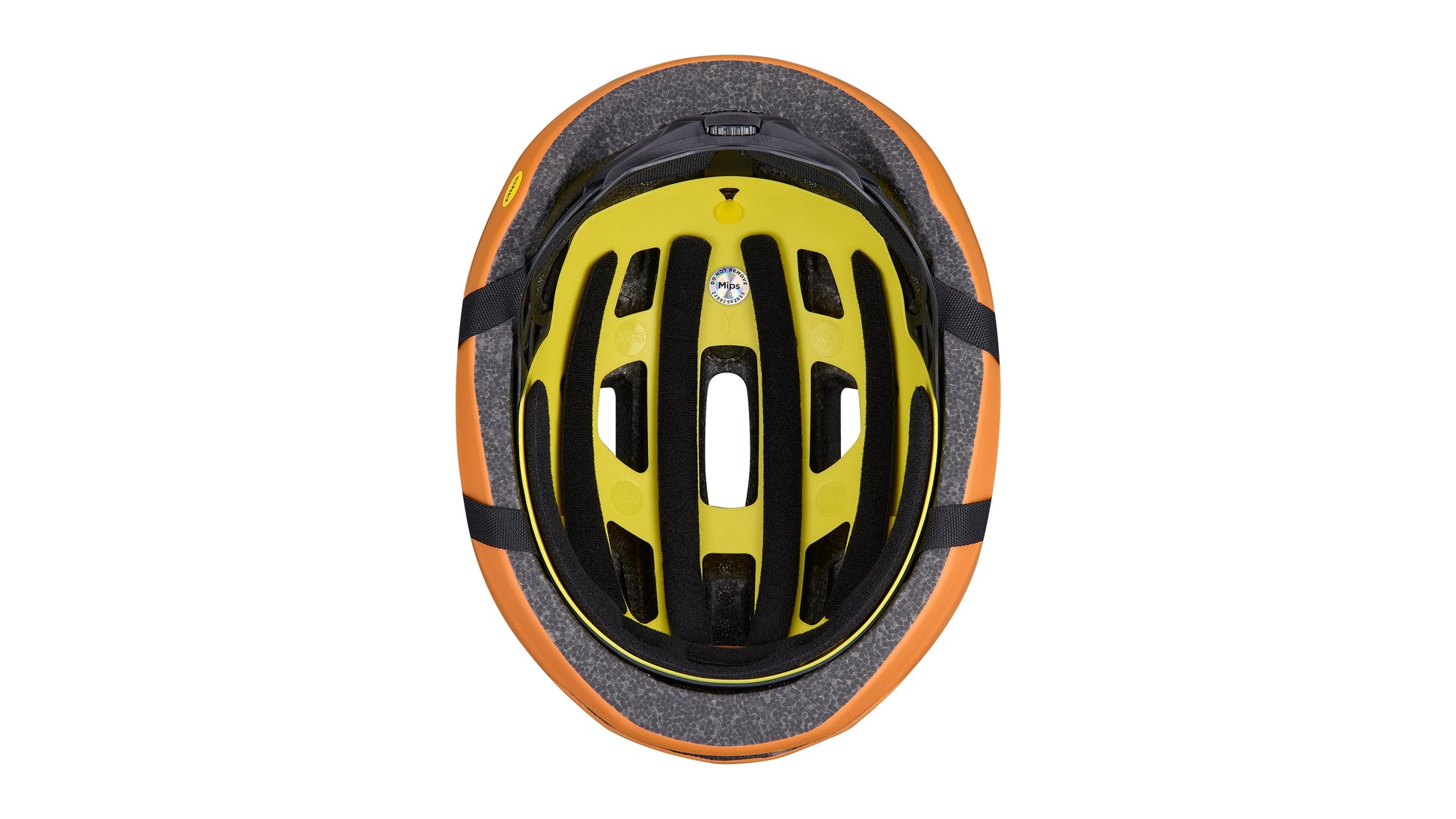 Specialized Align II – Incycle Bicycles