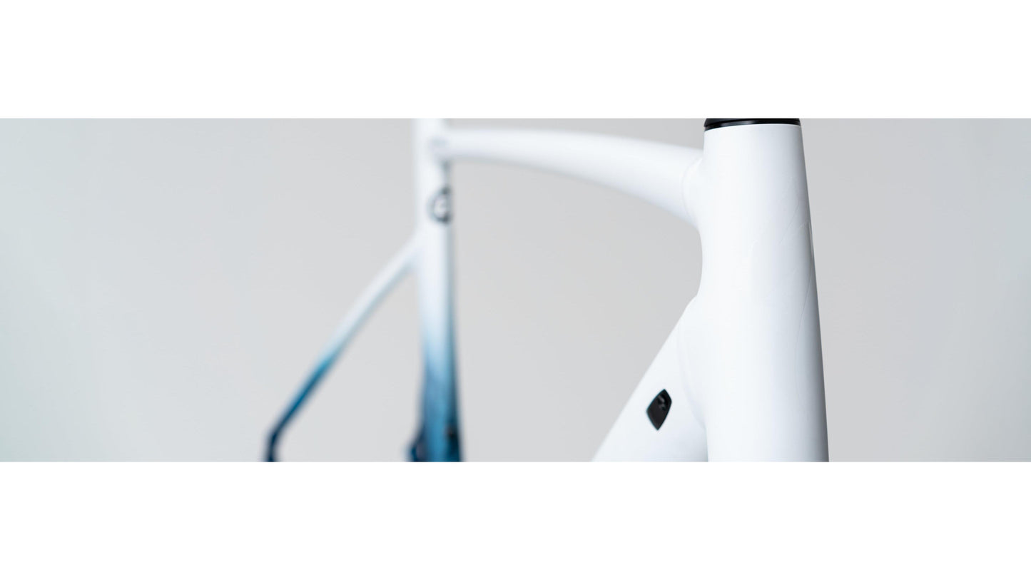 Specialized Allez Sprint Disc Frameset