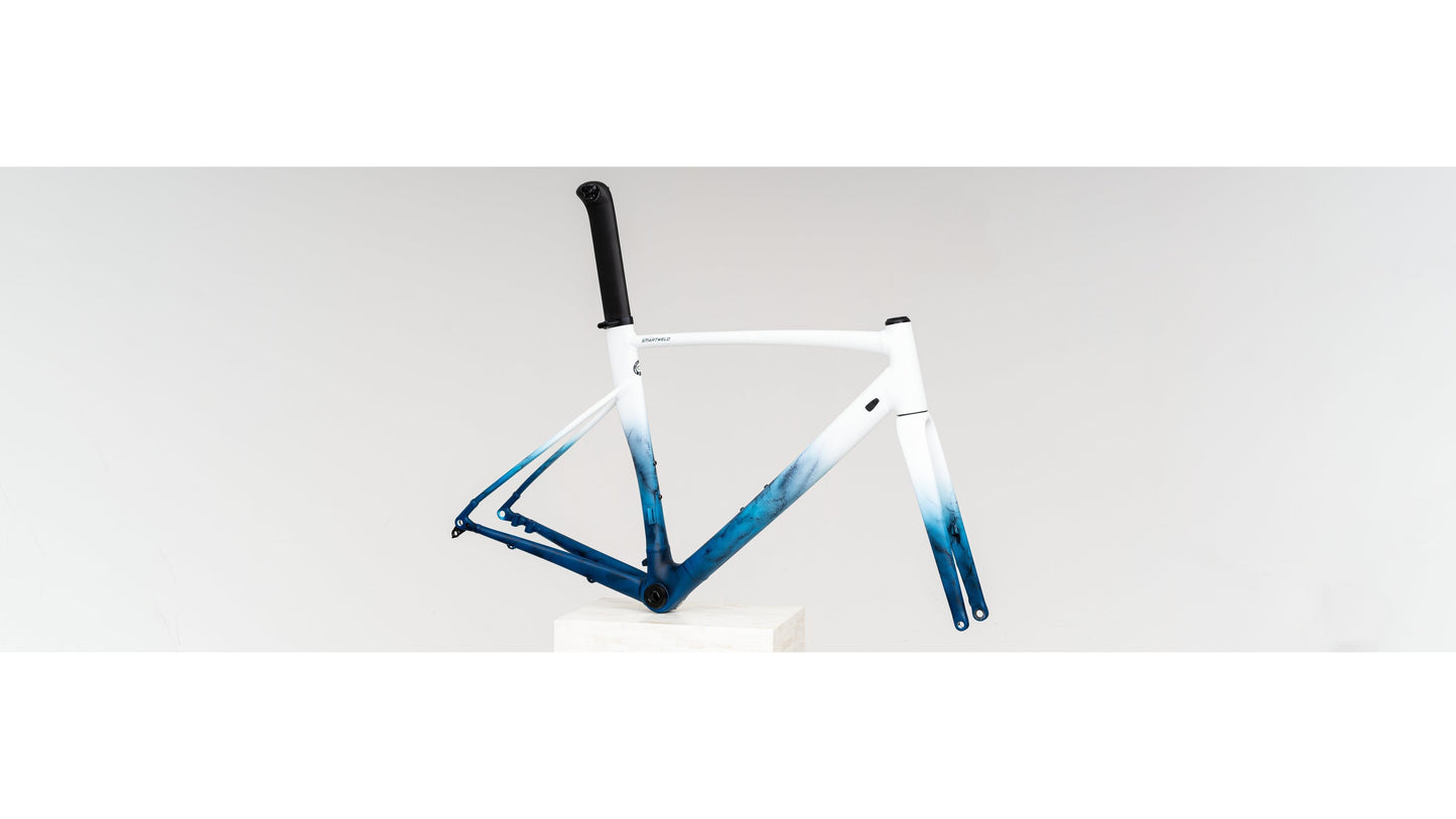 Specialized Allez Sprint Disc Frameset
