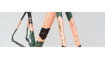 Specialized Allez Sprint Disc Frameset