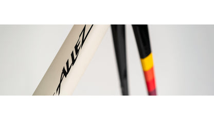 Specialized Allez Sprint Disc Frameset