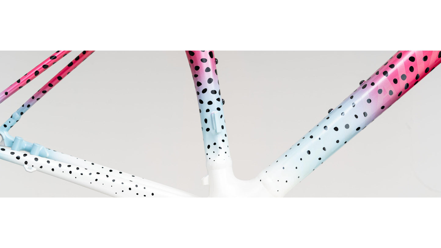 Specialized Allez Sprint Disc Frameset