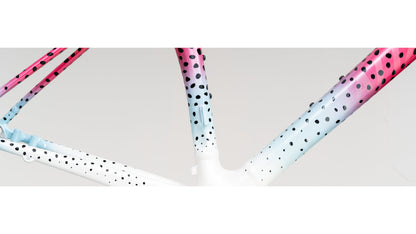 Specialized Allez Sprint Disc Frameset