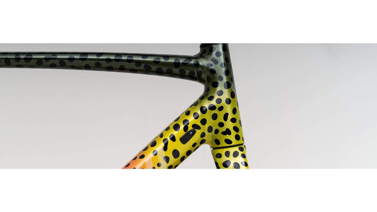 Specialized Allez Sprint Disc Frameset