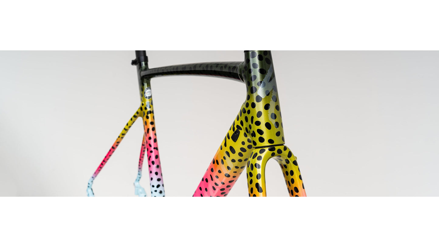Specialized Allez Sprint Disc Frameset