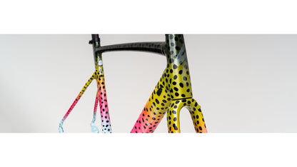 Specialized Allez Sprint Disc Frameset