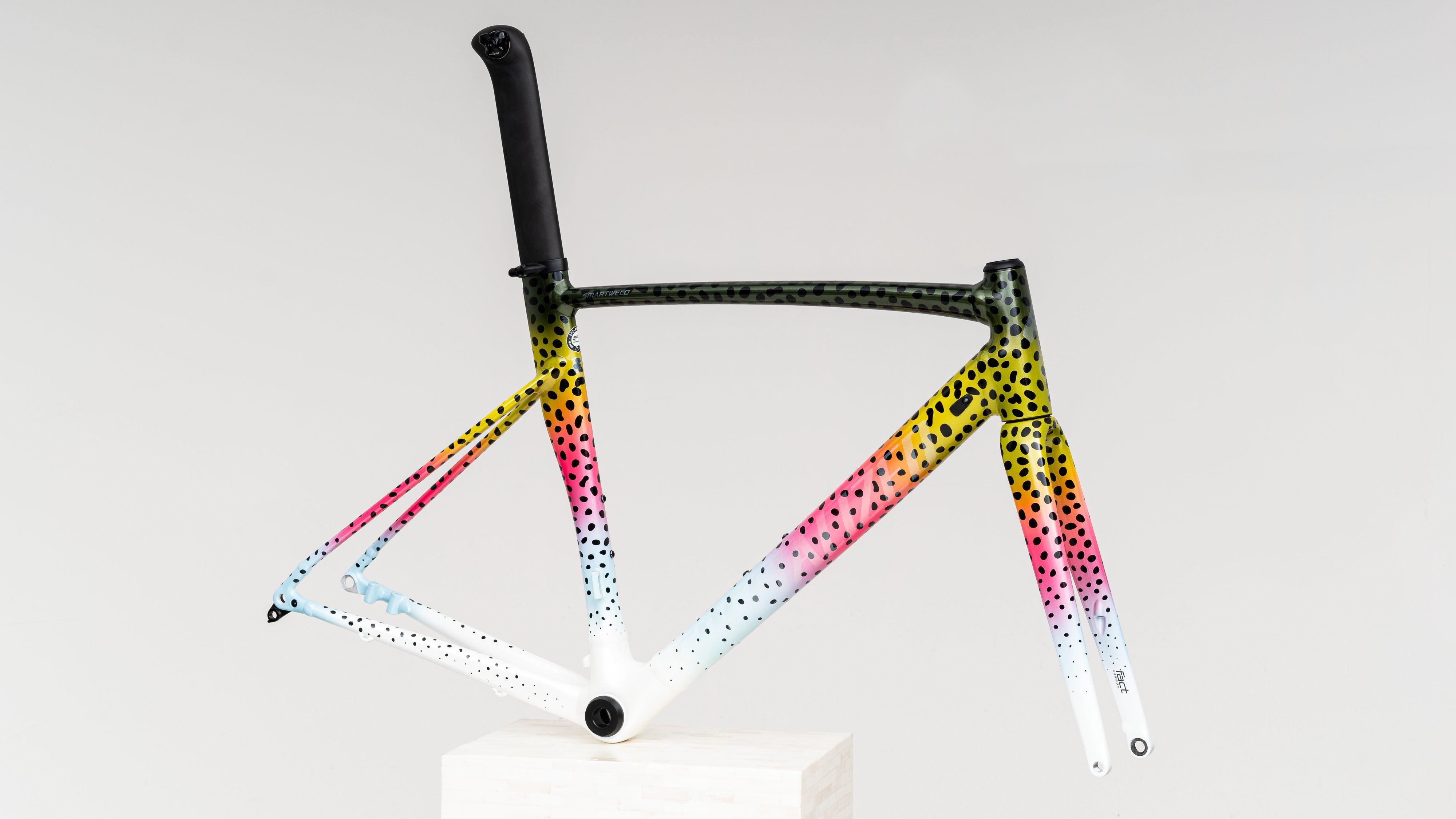 2020 Specialized Allez Sprint Disc Frameset – Incycle Bicycles
