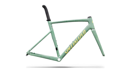 2027 Specialized Allez Sprint Frameset - D'Aluisio Smartweld Alloy - Agave Grey / Kelly Green / Sunset Yellow