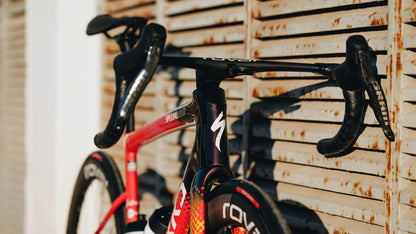 2025 Specialized S-Works Tarmac SL8 Team Frameset: SD Worx - Protime
