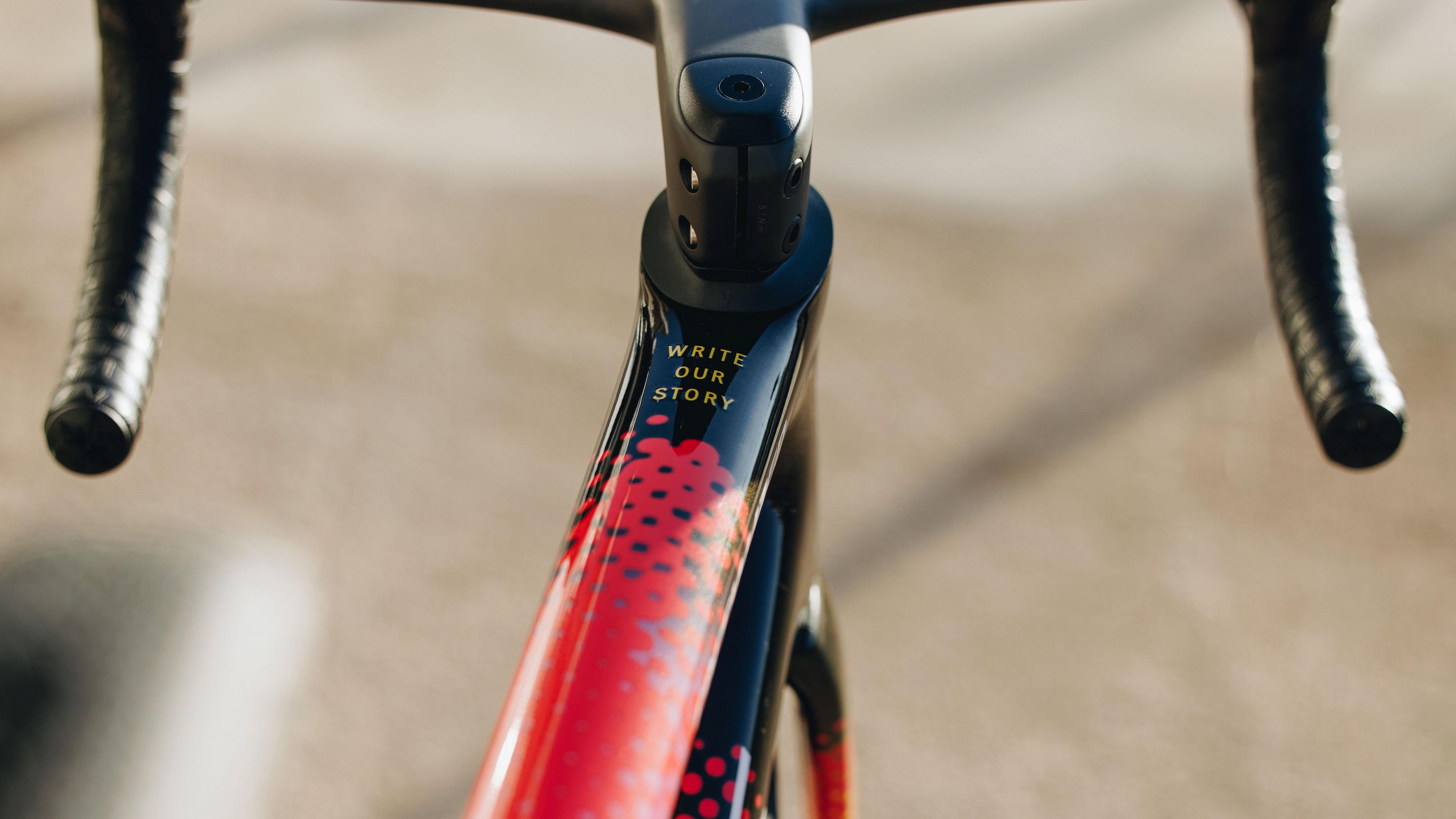 SPECIALIZED S-WORKS チームフレーム2019 SPECIALIZED S-WORKS チームフレーム2019 S-Works Tarmac SL8