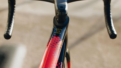 2025 Specialized S-Works Tarmac SL8 Team Frameset: SD Worx - Protime