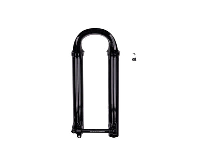 FOX Lower Leg Assembly - 2021 38 29in 180 MAX, 15x110 QR, Fox Shiny Black, F-S