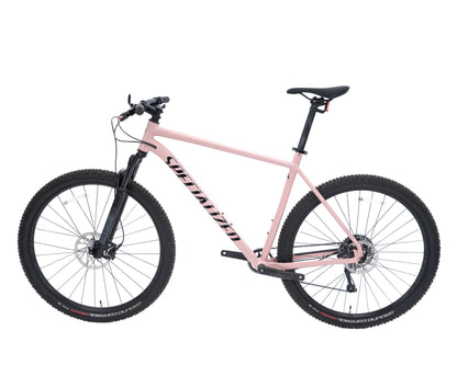 [Blem] 2021 Specialized Rockhopper Elite 29 - Size XX Large