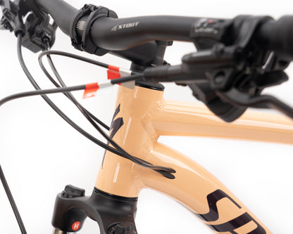 [New Other] Specialized 2021 Rockhopper 29 - Iceppya/Cstumbr XL