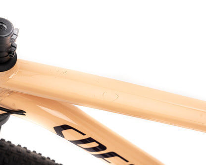 [New Other] Specialized 2021 Rockhopper 29 - Iceppya/Cstumbr XL