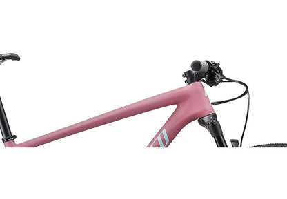 2020 Specialized Epic Ht Carbon 29