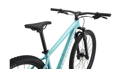Specialized Rockhopper Expert 29