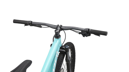 Specialized Rockhopper Expert 29