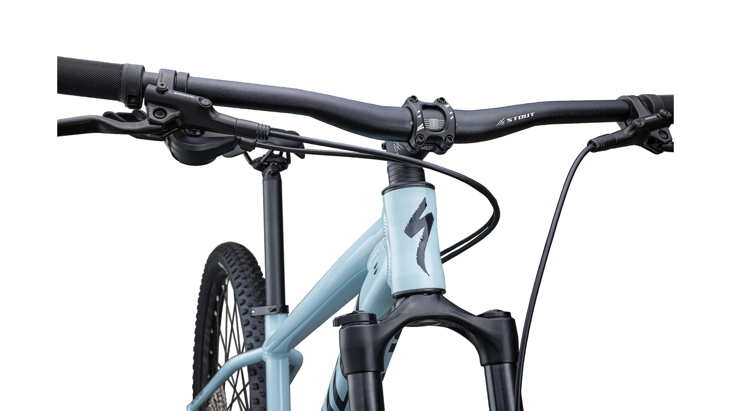 Specialized Rockhopper Elite 29