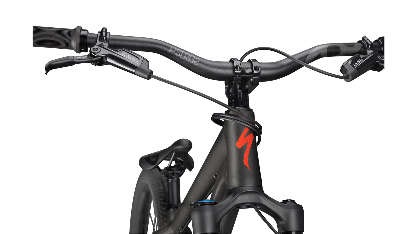 Specialized P3