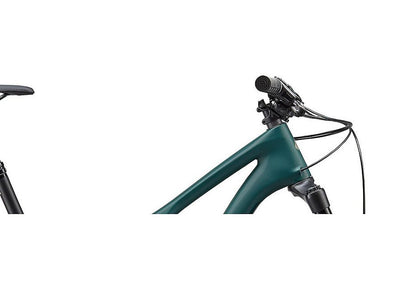 Specialized Stumpjumper St Ltd Carbon Downieville 29